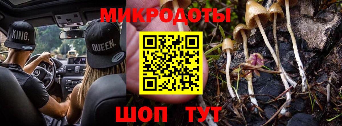 Галлюциногенные грибы GOLDEN TEACHER  Галлюциногенные грибы Magic Shrooms  Вход с VPN  Гай 