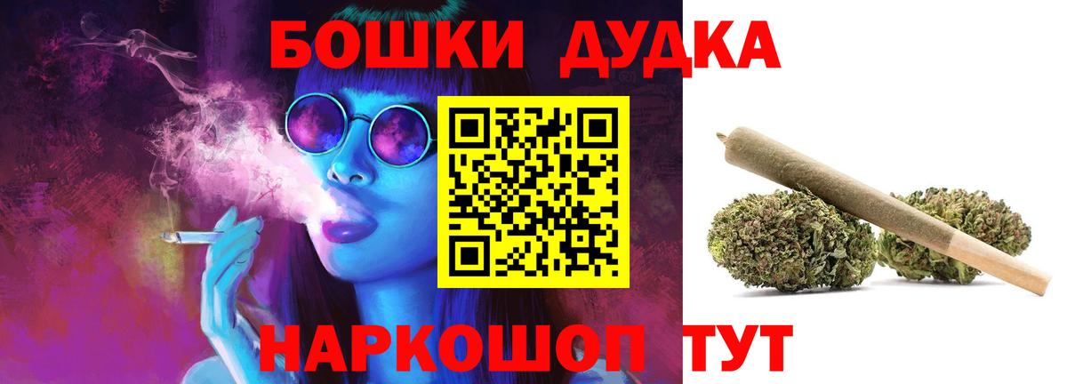 Марихуана сатива Гай